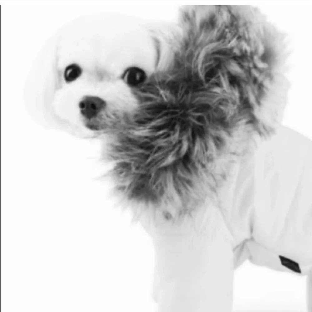 PUPPY ANGEL Faux Down Padding Dog Parka Metallic Coat